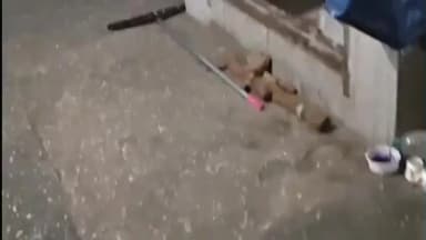 पलवल: पलवल-हथीन में देर रात मौसम खराब, ओलावृष्टि से बढ़ी ठंड