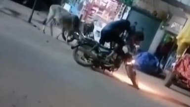 बिजावर: बिजावर में संदिग्ध बाहरी लोगों की आवाजाही से दहशत, जटाशंकर पार्क के पास डेरा डाला