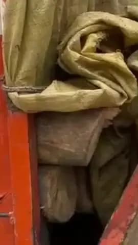 नरवल: महाराजपुर थाना क्षेत्र के अंतर्गत सागौन की लकड़ी से भरी पिकअप गाड़ी की गई ज़ब्त