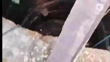 पटेरा: रेवंझा गाँव में शराब के नशे में कुएँ में गिरा युवक, पुलिस ने किया रेस्क्यू