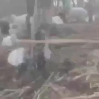 निचार: सोलन में किन्नौर के भेड़ पालकों पर बरसा कहर, आसमानी बिजली की चपेट में आए करीब 55 भेड़-बकरियां