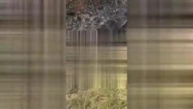 ತುರುವೇಕೆರೆ: ತುರುವೇಕೆರೆಯಲ್ಲಿ ಅರ್ಧಂಬರ್ಧ ಸುಟ್ಟ ಸ್ಥಿತಿಯಲ್ಲಿ ಮಹಿಳೆಯ ಶವ ಪತ್ತೆ