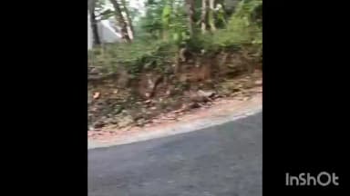 മീനച്ചിൽ: മങ്കൊമ്പ് അമ്പലംകവലയിൽ ജീപ്പ് നിയന്ത്രണംവിട്ട് പുരയിടത്തിലേക്ക് വീണ് രണ്ടുപേർക്ക് പരിക്ക്