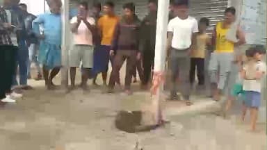 শীতলকুচি: অজানা জন্তু তাণ্ডবে এলাকায় হাঁস-মুরগি পোষা বড় দায়। অবশেষে জন্তুটি ধরা পড়ল ,ঘটনাটি শীতলকুচির নগর নেপড়া এলাকায়