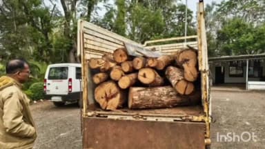 વઘઇ: ડાંગ ઉત્તર વન વિભાગની ટીમે ફિલ્મી ઢબે પીછો કરી ખૈરના લાકડા ભરેલી બોલેરો પીકપ ઝડપી પાડ્યા