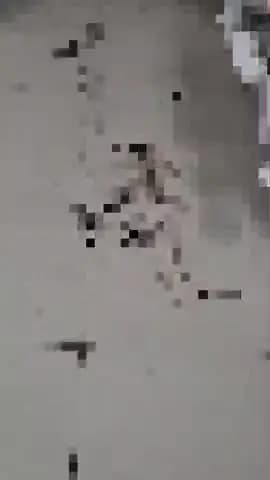 पीलीभीत: मेडिकल कॉलेज से संबद्ध अस्पताल के वार्ड में फैली गंदगी का वीडियो सोशल मीडिया पर हुआ वायरल