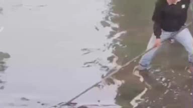 मंदसौर: विधायक के नेतृत्व में शिवना नदी में श्रमदान, दो ट्राली कचरा निकाला गया