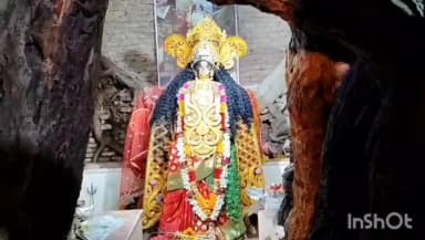 কুমারগঞ্জ: কুমারগঞ্জের ধাদল পাড়ায় বিদ্ধেশ্বরী মন্দিরে মহাযজ্ঞের দিনে ভক্তদের ঢল