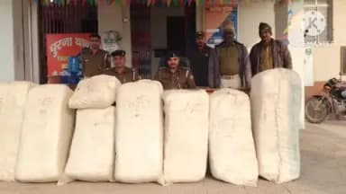 नरपतगंज: घूरना पुलिस ने पथराहा में छापेमारी कर दो घरों से 203 किलो गांजा किया बरामद, कारोबारी फरार, प्राथमिकी दर्ज