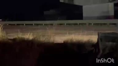 नाशिक: मुंबई नागपूर समृद्धी महामार्गावर कंटेनर महामार्गावरच झाला पलटी नागपूरकडे जाणारी वाहतूक एक तासापासून विस्कळीत