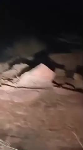 @#सरमथुरा सरमथुरा धौलपुर राजस्थान
आज शाम को 9:00 बजे लेपर्ड बच्चा दिखाई दिया बावड़ी हनुमान जी के पास मिला@#