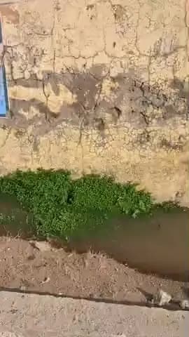 mp burhanpur Sirpur khaknar naliya bhari hai logo ke Gharo me nali ka Pani bhar rha hai