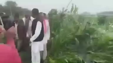 मंदसौर नीमच क्षेत्र में अफीम की फैसले तबाह