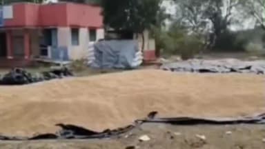 விக்கிரவாண்டி: காணை கிராமத்தில் உள்ள நேரடி நெல் நிலையத்தை திறக்கப்படாததால் விவசாயிகள் வேதனை