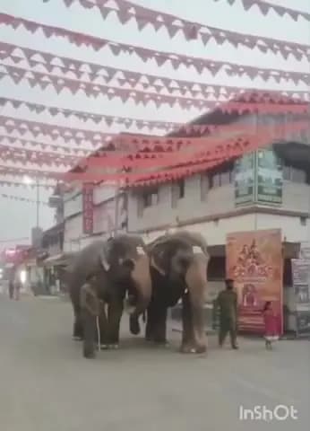 ಶೃಂಗೇರಿ: ಪಟ್ಟಣದಲ್ಲಿ ತಾಯಿ ಶಾರದಾಂಬೆಯ ಮೊದಲ ದಿನದ ರಾಜ ಬೀದಿ ಉತ್ಸವ.!