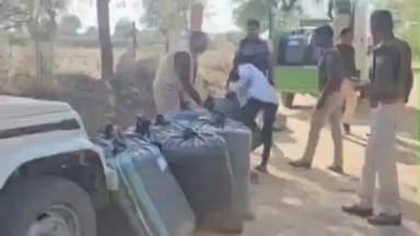 समदड़ी: समदड़ी में नशे पर करारी चोट, पुलिस की नाकाबंदी तोड़ भागी स्कॉर्पियो, 4 क्विंटल 38 किलो डोडा जब्त ।