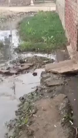 vajeerpur jehalpur
jagdeesh pradhan