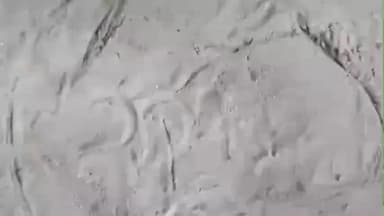 नांगल चौधरी: नांगल चौधरी में तेंदुए का आतंक, दताल गांव में घर में घुसने का दावा