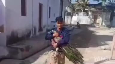 रूपनगर: रूपनगढ़ में कोहरे और श्वानों के हमले से घायल हुए 3 मोरों को गोरक्षक ने सुरक्षित रेस्क्यू कर पशु चिकित्सालय पहुंचाया