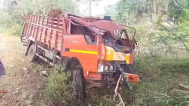 நத்தம்: குட்டூர் பிரிவு அருகே சாலையோர புளிய மரத்தில் மோதிய ஈச்சர் லாரி