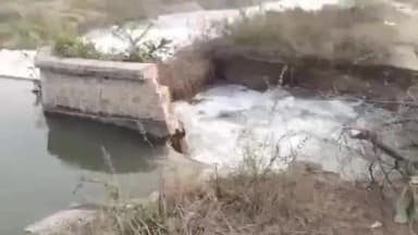 తిరువూరు మండలం పెద్దవరం గ్రామ శివారు పరిధిలో ఎస్సీ కాలువకు పడిన గండి