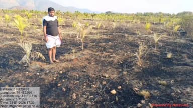 ಹೊಸದುರ್ಗ: ಅಗಸರಹಳ್ಳಿ ಗ್ರಾಮದಲ್ಲಿ ಅರಣ್ಯಕ್ಕೆ ಬೆಂಕಿ ಬಿದ್ದು ಪಕ್ಕದ ತೋಟದ 600 ಅಡಿಕೆ ಗಿಡಗಳು ಬೆಂಕಿಗಾಹುತಿ