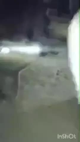 जसराना: गांव हिम्मतपुर में सांड की आंख बांधकर पीटने का वीडियो सोशल मीडिया पर हुआ वायरल