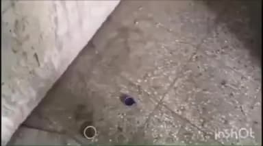 बिलोली: शहरातील बिएसएनएल कार्यालय बनले अवैध धंद्याचे ठिकाण, व्हीडिओ व्हायरल