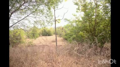 బెల్లంపల్లి: విద్యారంగ అభివృద్ధికి ప్రభుత్వం ప్రత్యేక చర్యలు తీసుకుంటుందని జిల్లా కలెక్టర్ కుమార్ దీపక్ అన్నారు