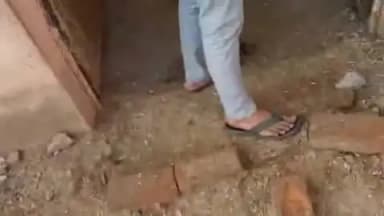 ताजी खबर ग्राम बक्सनपुर तहसील पिछोर जिला शिवपुरी से गऊ शाला में पशुओं के नाम पर प्रशासन की लूट की जा रही है