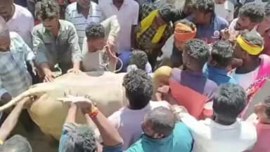 நாட்றாம்பள்ளி: நந்திபெண்டா பகுதியில் மாபெரும் எருதுவிடும் திருவிழா 200-க்கும் மேற்பட்ட காளைகள் கலந்து கொண்டு சிரிப்பாய்ந்து ஓடின