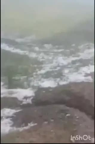 चीनोर: ओलावृष्टि से फसलें तबाह, भारतीय किसान यूनियन ने खेतों का किया निरीक्षण