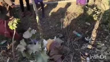 ಹೆಗ್ಗಡದೇವನಕೋಟೆ: ಬಹಿರ್ದೆಸೆಗೆಂದು ಬಯಲಿಗೆ ಬಂದ ವ್ಯಕ್ತಿ ಮೇಲೆ ಕಾಡಾನೆ ದಾಳಿ, ವ್ಯಕ್ತಿ ಸ್ಥಳದಲ್ಲೇ ಸಾವು