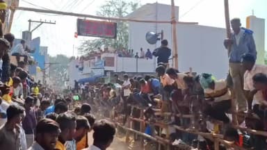 வாணியம்பாடி: வள்ளிப்பட்டு பகுதியில் 56 ஆம் ஆண்டு மாபெரும் எருதுவிடும் திருவிழா 300க்கும் மேற்பட்ட காளைகள் கலந்து கொண்டு சீறிப்பாய்ந்து ஓடின