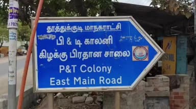தூத்துக்குடி: பிஎன்டி காலனி பகுதியில் சுமார் 60 ஆண்டுகள் பழமையான ஆலமரத்தை வனத்துறை அனுமதி இல்லாமல் மாநகராட்சி ஊழியர்கள் வெட்டிய சம்பவத்தால் பரபரப்பு