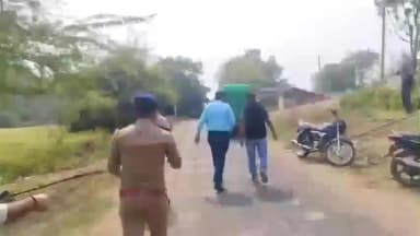 મેઘરજ: મેઘરજ ના જામગઢ વાંસડી (વૈડી) વિસ્તારમાં થી ખેતરમાંથી દીપડાનું બચ્ચું દેખાતા વન વિભાજની ટીમ ગટના સ્થળે જઈ ઝડપ્યો.