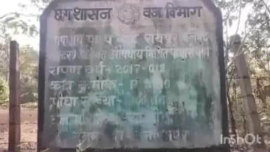 सामरी कुसमी: चान्दों वन परिक्षेत्र में अवैध कब्जे का वीडियो वायरल, क्या जंगल बेचने की तैयारी है?