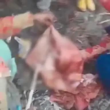 कैराना: मलकपुर गांव में निर्दयी मां ने नवजात बच्ची को कपड़े में लपेटकर कूड़े के ढेर पर फेंका, ग्रामीणों का वीडियो वायरल