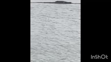 માલપુર: ગોવિંદપુર ગામના તળાવમાં ચાર ફૂટનો મગર દેખાયો