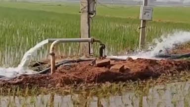 పల్నాడు జిల్లాలో ఐదు మీటర్ల లోతులో భూగర్భ జలాలు