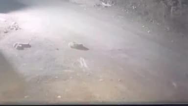 नवापूर: विसरवाडी बालअमराई परिसरात बिबट्याची दहशत कुत्र्यांवर हल्ला सीसीटीव्ही कैद