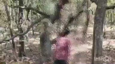 রানিবাঁধ: ভারত সেবাশ্রম লাগোয়া জঙ্গলে ঝুলন্ত দেহ, খাতড়ায় চাঞ্চল্য