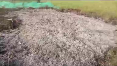 বোকাখাত: বোকাখাতৰ ধনশিৰিমুখত ১২০ বিঘা পূৰঠ মাটিমাহৰ গোটাই থোৱা দ'মত অগ্নি সংযোগ দুৰ্বৃত্তৰ, বোকাখাত থানাত গোচৰ