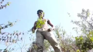 ಸವದತ್ತಿ: ಬೆಳಗಾವಿ ಸವದತ್ತಿ ಹೊರವಲಯದಲ್ಲೊಬ್ಬ ಆಧುನಿಕ ಟಾರ್ಜನ್ ವೈದ್ಯಲೋಕಕ್ಕೂ ಸವಾಲಾದ ಯುವಕನ ಆಹಾರ ಪದ್ಧತಿ