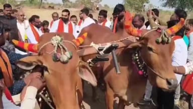 औंढा नागनाथ: कोडसी येथे भव्य शंकर पट स्पर्धा आमदार संतोष बांगर यांच्या हस्ते उद्घाटन