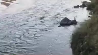 बिशुनपुर: विशुनपुर प्रखंड: कोयल नदी से बनारी गांव की है पहचान