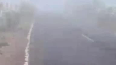 ટંકારા: ટંકારામાં ગાઢ ધુમ્મસ છવાયેલું