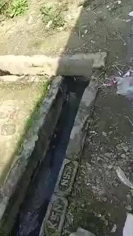 इस विडिओ को शेयर करे भाई लोग ग्राम मधुकरपुर बांसी सिद्धार्थनगर