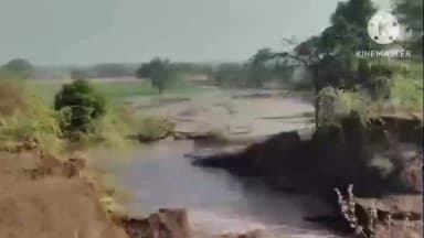 ಕೊಲ್ಹಾರ: ಹಳ್ಳದ ಗೆನ್ನೂರಿನಲ್ಲಿ ಕಾಲುವೆ ಒಡೆದು ಜಮೀನಿಗಳಿಗೆ ನುಗ್ಗಿದ ಅಪಾರ ಪ್ರಮಾಣದ ನೀರು