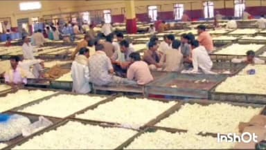 ಶಿಡ್ಲಘಟ್ಟ: ನಗರದ ಸರ್ಕಾರಿ ರೇಷ್ಮೆ ಗೂಡು ಮಾರುಕಟ್ಟೆಯಲ್ಲಿ ಫೆಬ್ರವರಿ 10 ಮಂಗಳವಾರ ನಡೆದ ರೇಷ್ಮೆ ಗೂಡಿನ ಧಾರಣೆ